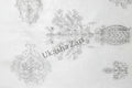 Detailed line drawings of various decorative elements on a textured paper background