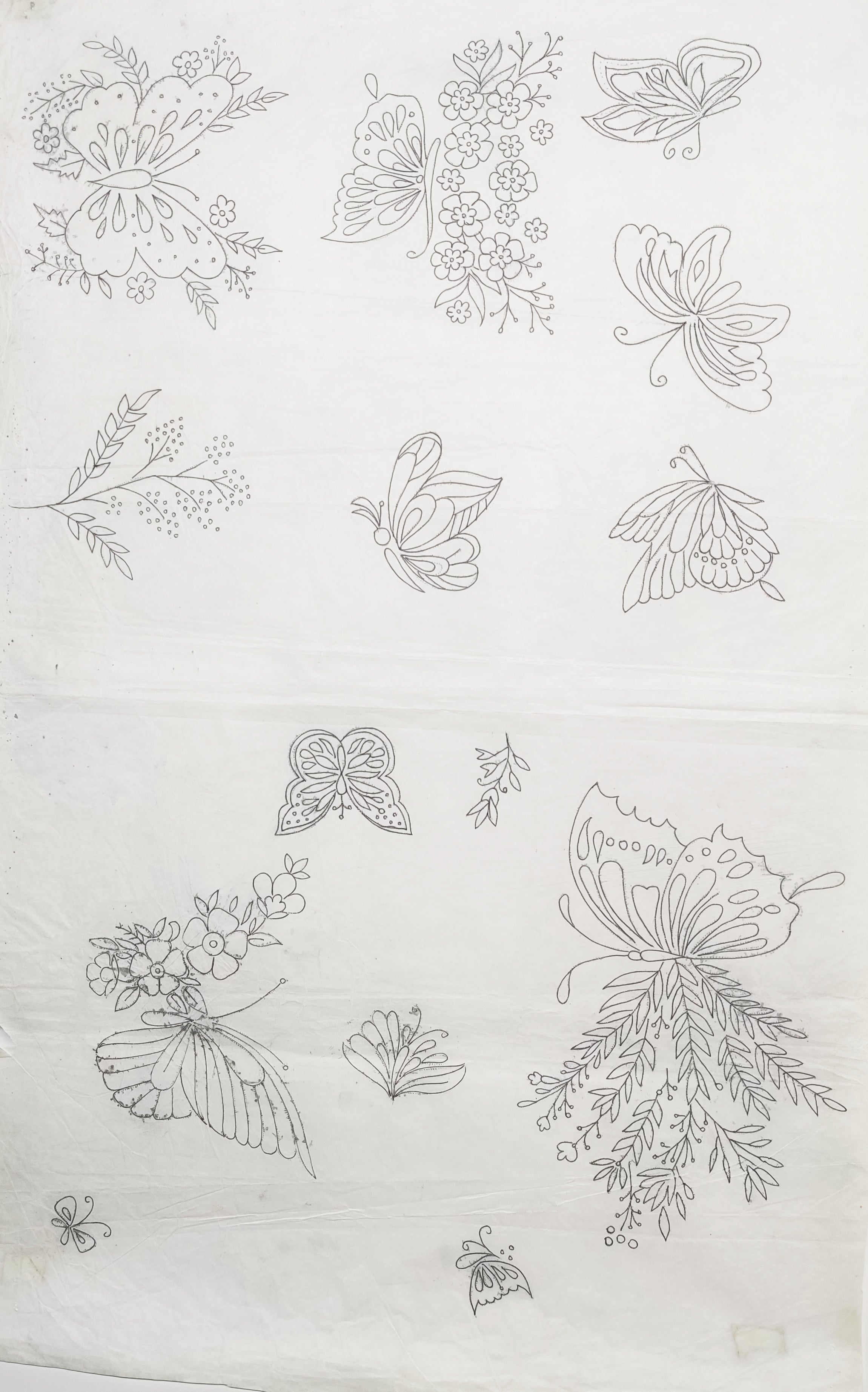 Butterflys